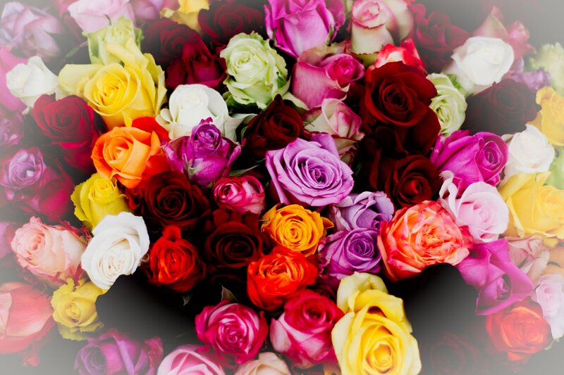 Assorted Roses in Bouquet — Red, Colorful, Photograph