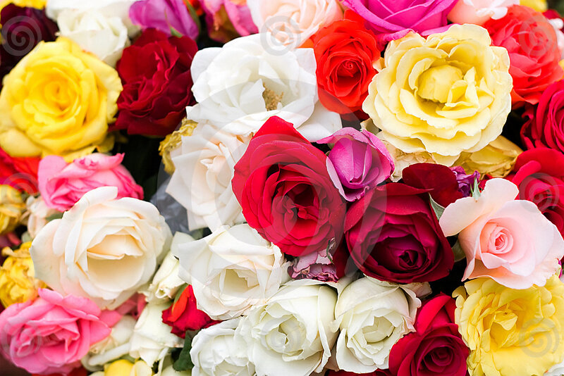 Assorted Roses in Bouquet — Red