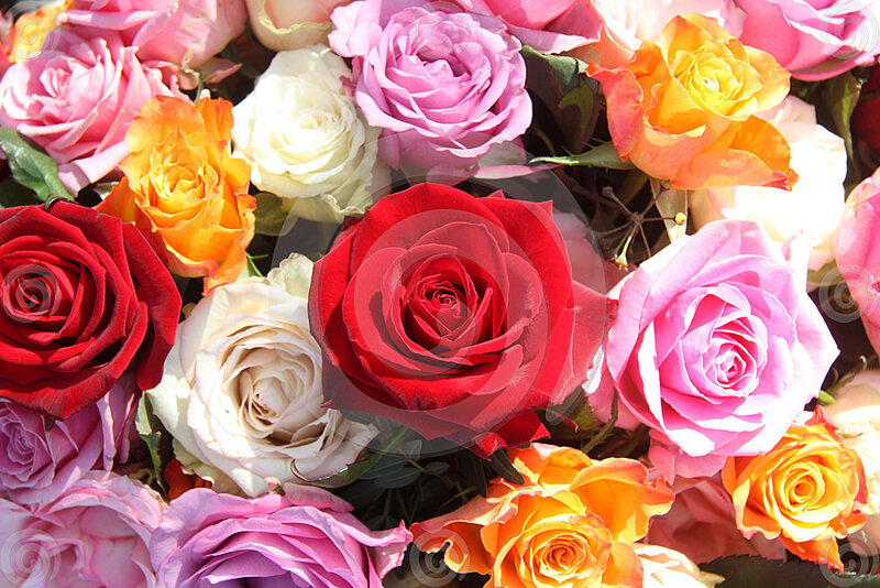 Assorted Roses in Bouquet — Red, Vibrant