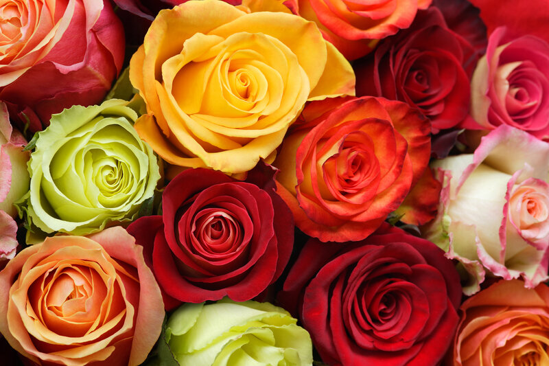 Assorted Roses in Bouquet