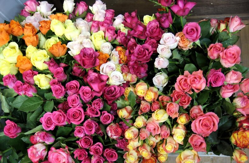 Assorted Roses in Bunches — Pink, Vibrant, Photograph
