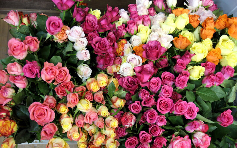 Assorted Roses in Bunches — Pink, Vibrant