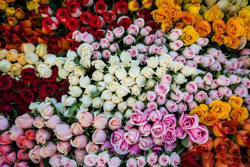Assorted Roses in Bunches — Red