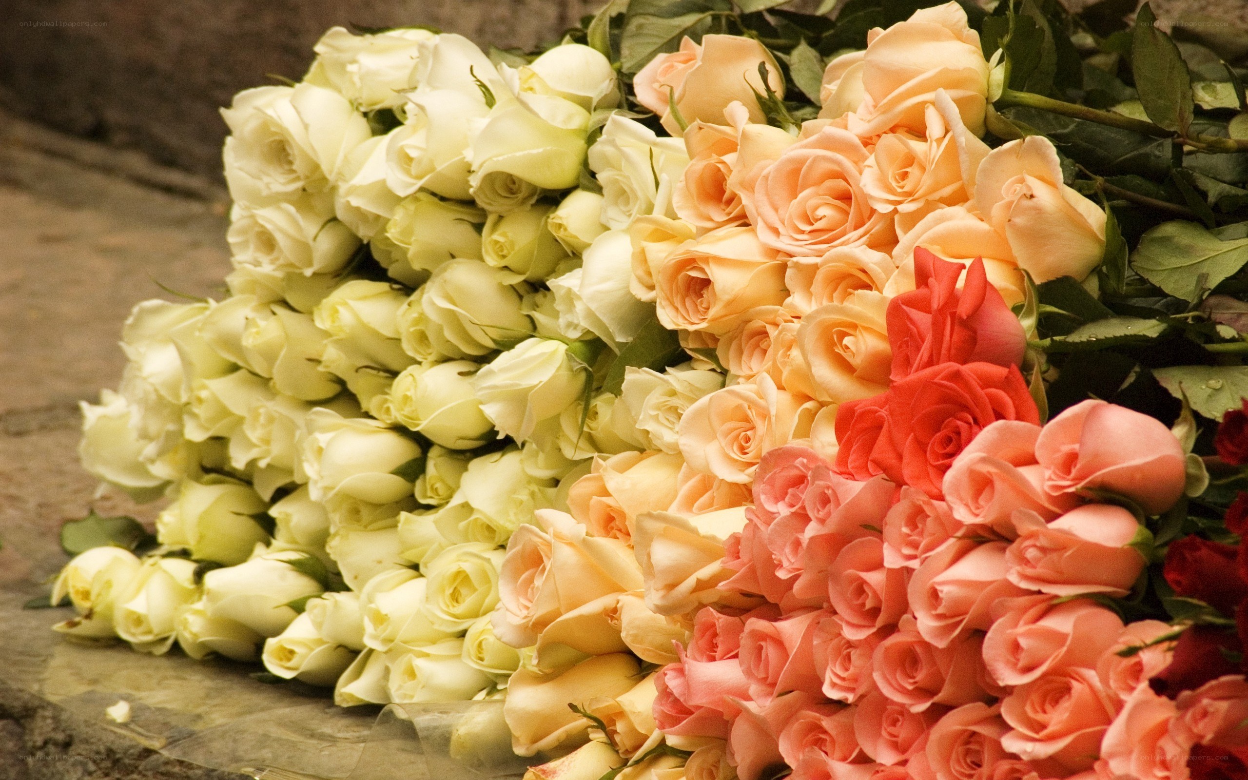 Assorted roses in bunches