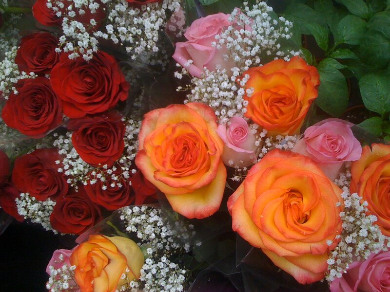 Assorted roses with baby's breath