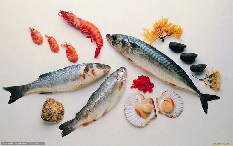 Assorted Seafood on White
