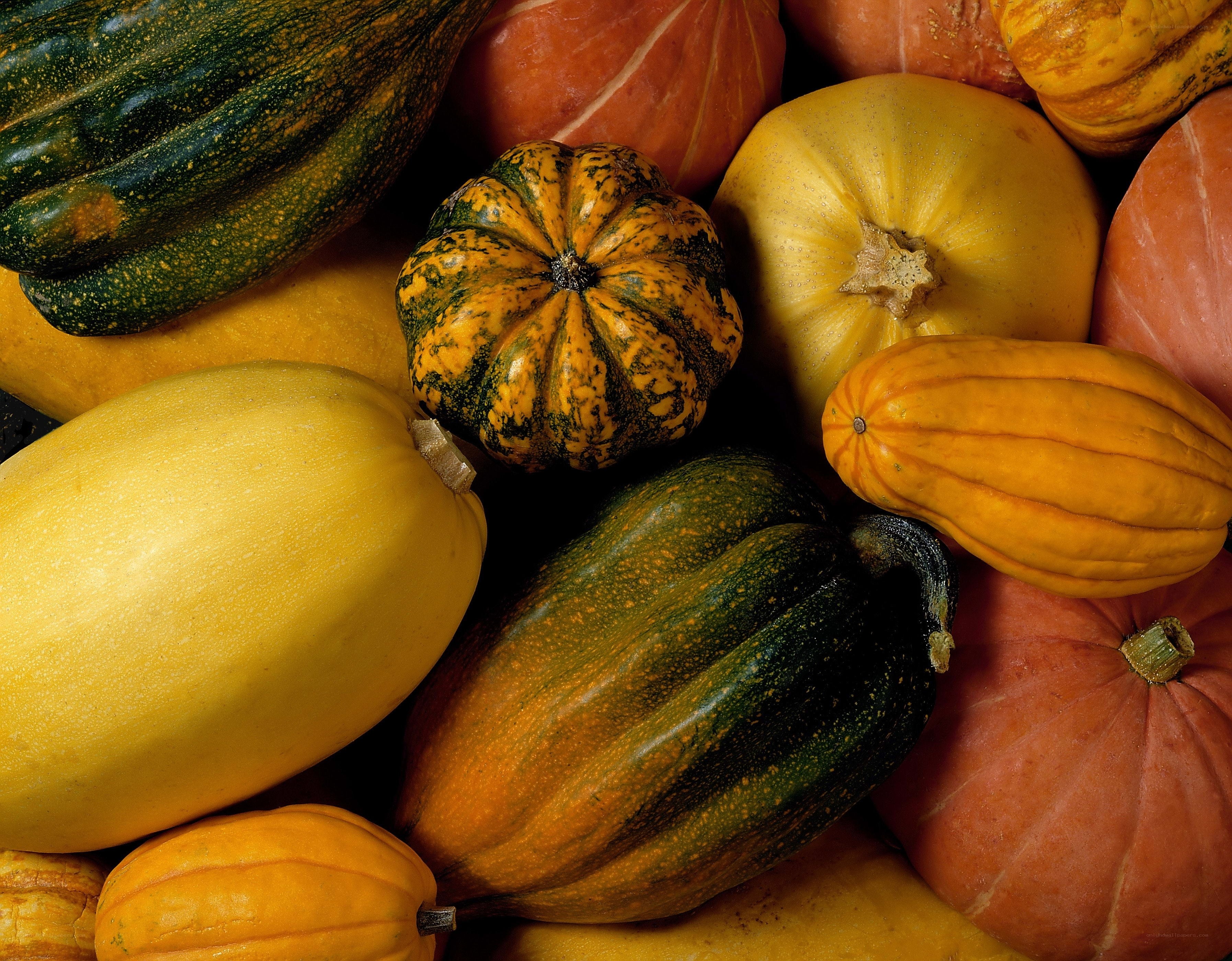 Assorted squash varieties