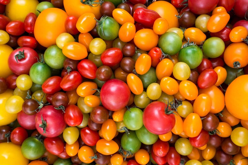 Assorted tomatoes in various colors