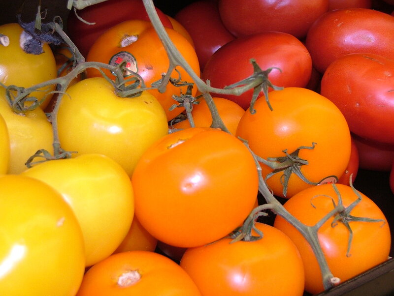 Assorted Tomatoes on Vine — Red