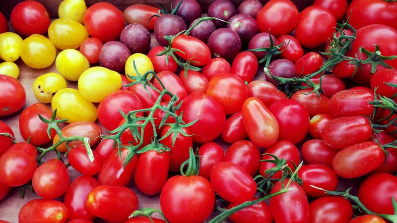 Assorted tomatoes on vine