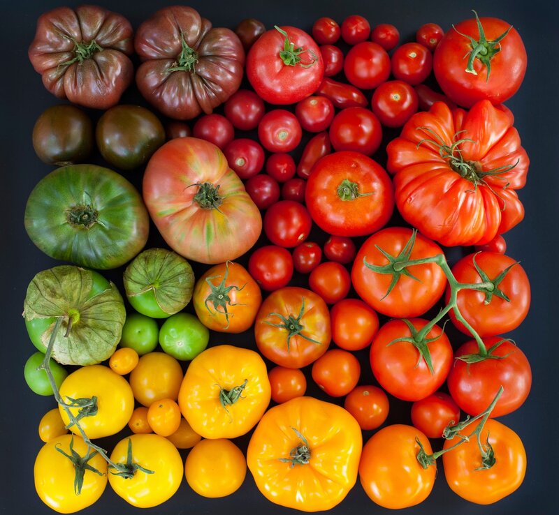 Assorted Tomatoes