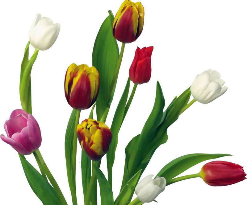 Assorted tulip bouquet