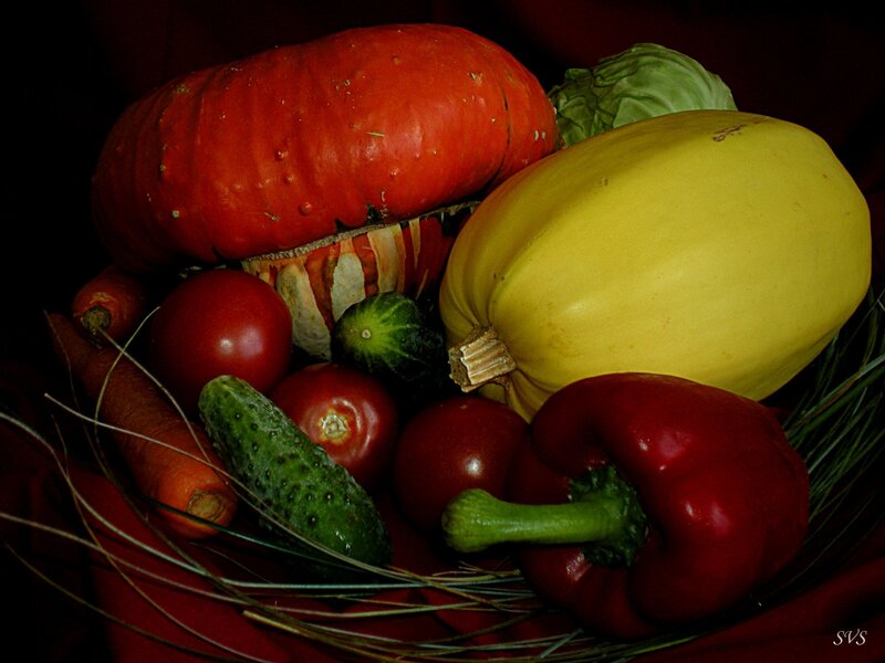Assorted Vegetables in Basket — Red