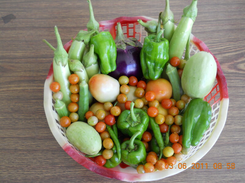 Assorted Vegetables in Basket