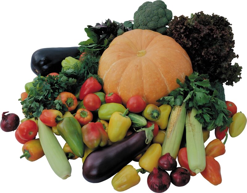 Assorted Vegetables — Orange