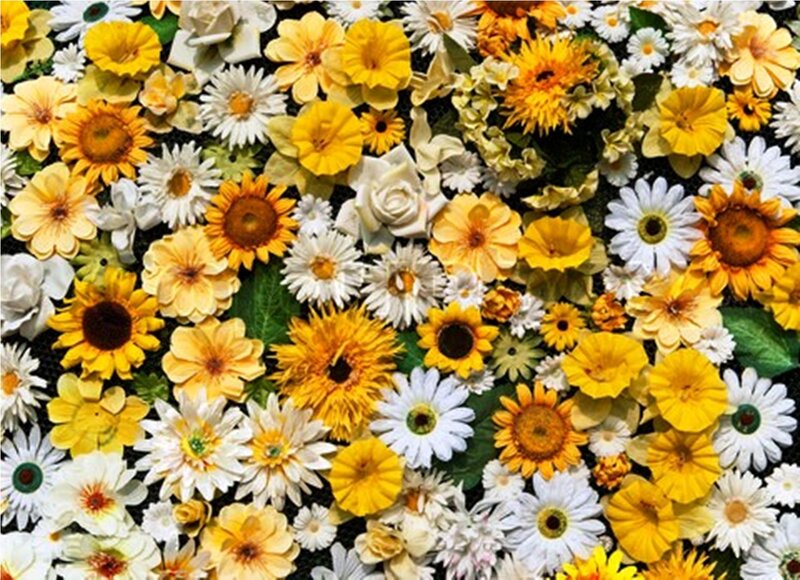 Assorted Yellow and White Flowers
