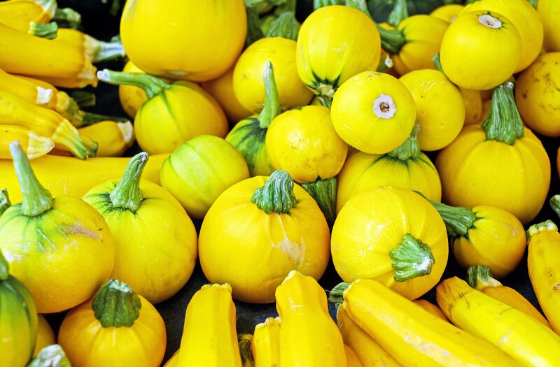 Assorted yellow squash display