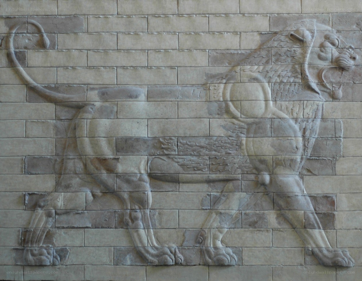 Assyrian lion relief
