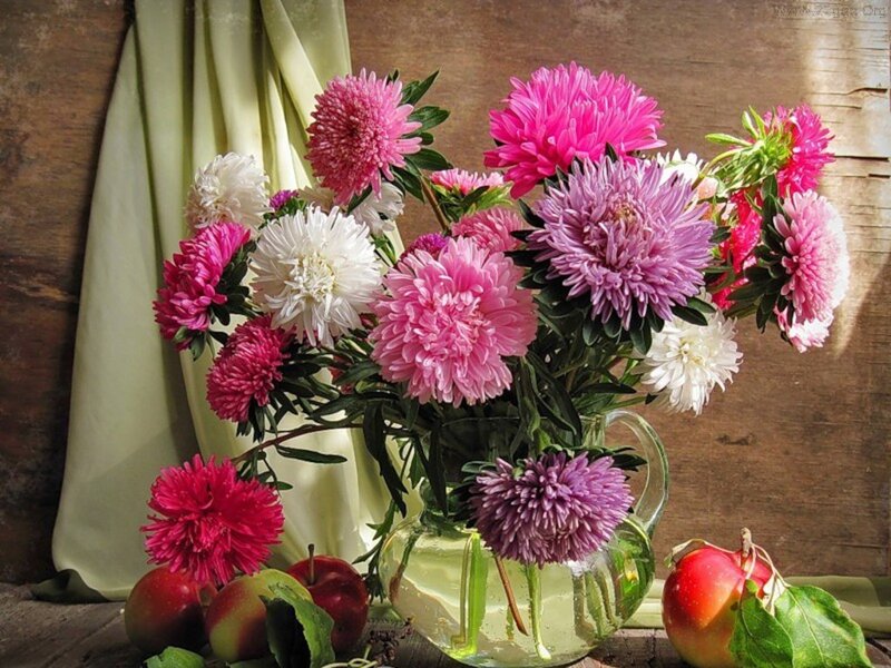 Astilbe Bouquet in Vase