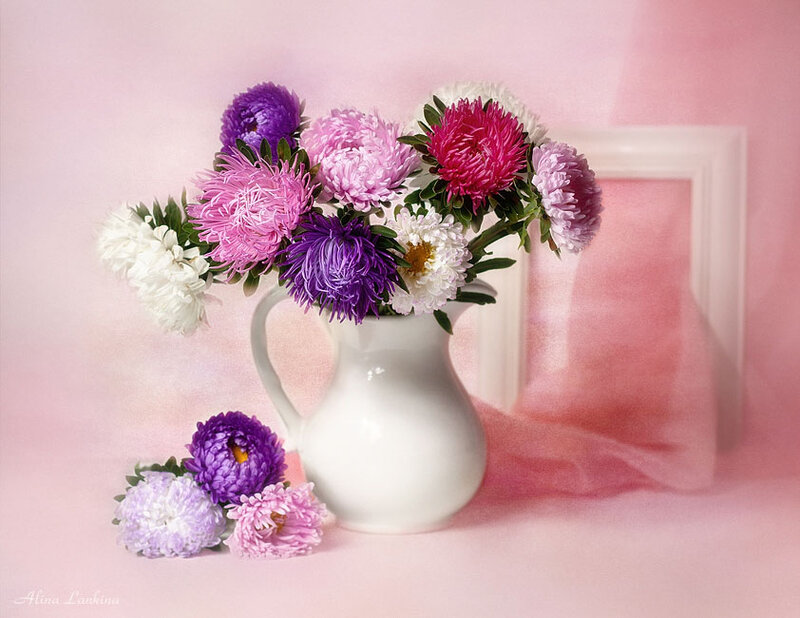 Astilbe Flowers in Vase