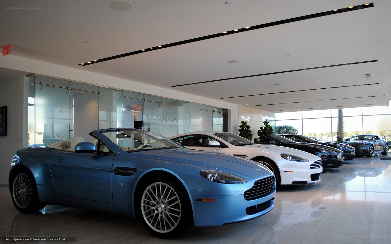 Aston Martin cars in showroom
