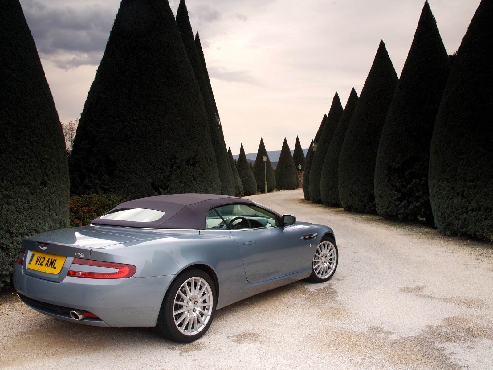 Aston Martin DB9 on a tree-lined path