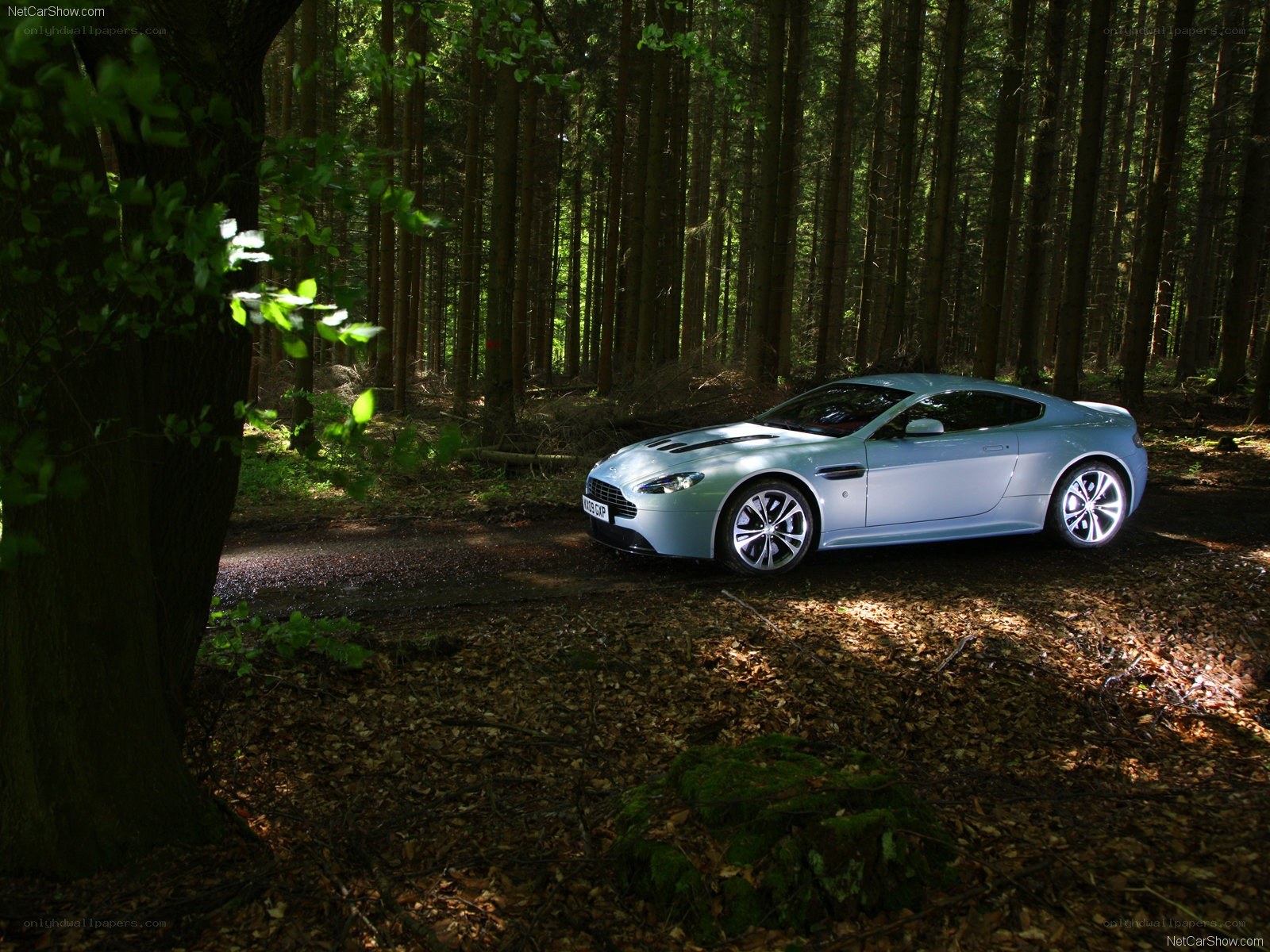 Aston Martin in a forest