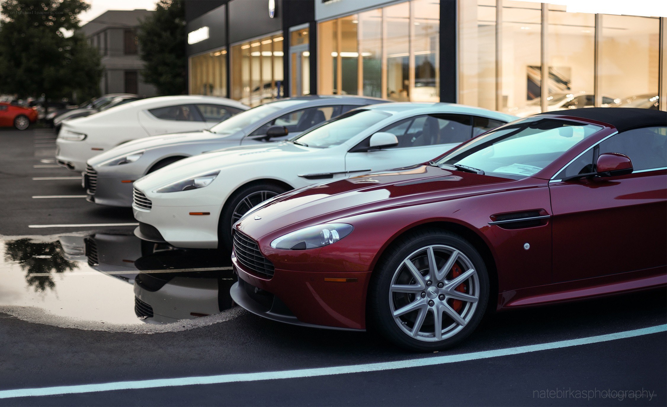Aston Martin lineup at dealership