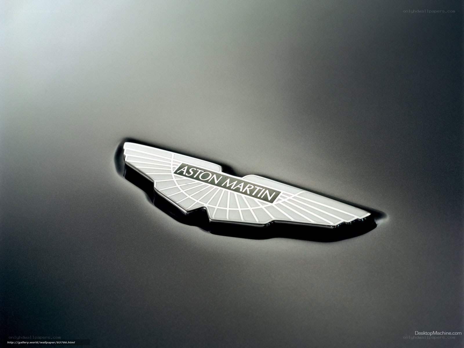 Aston Martin logo close-up