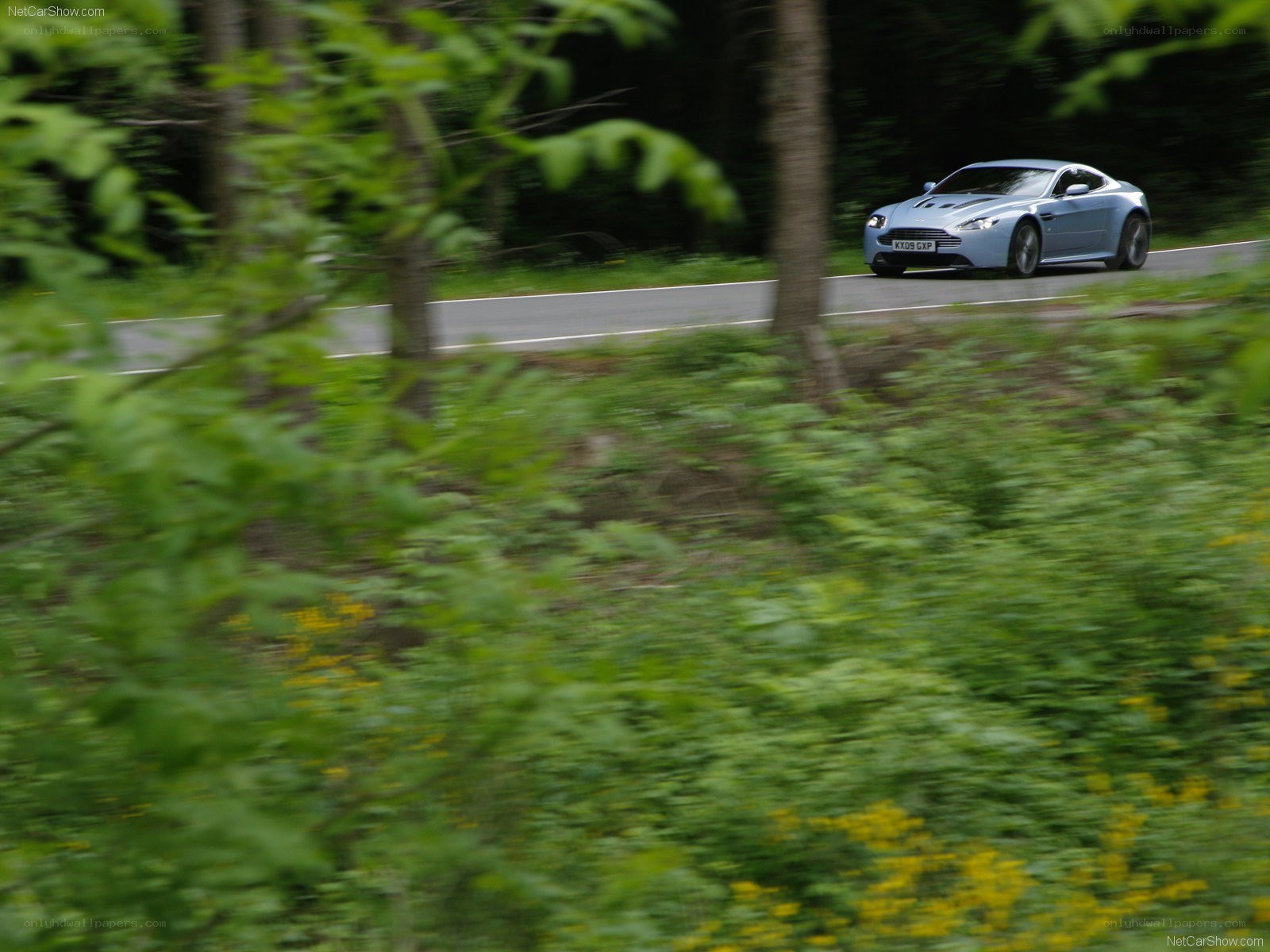 Aston Martin on a forest road