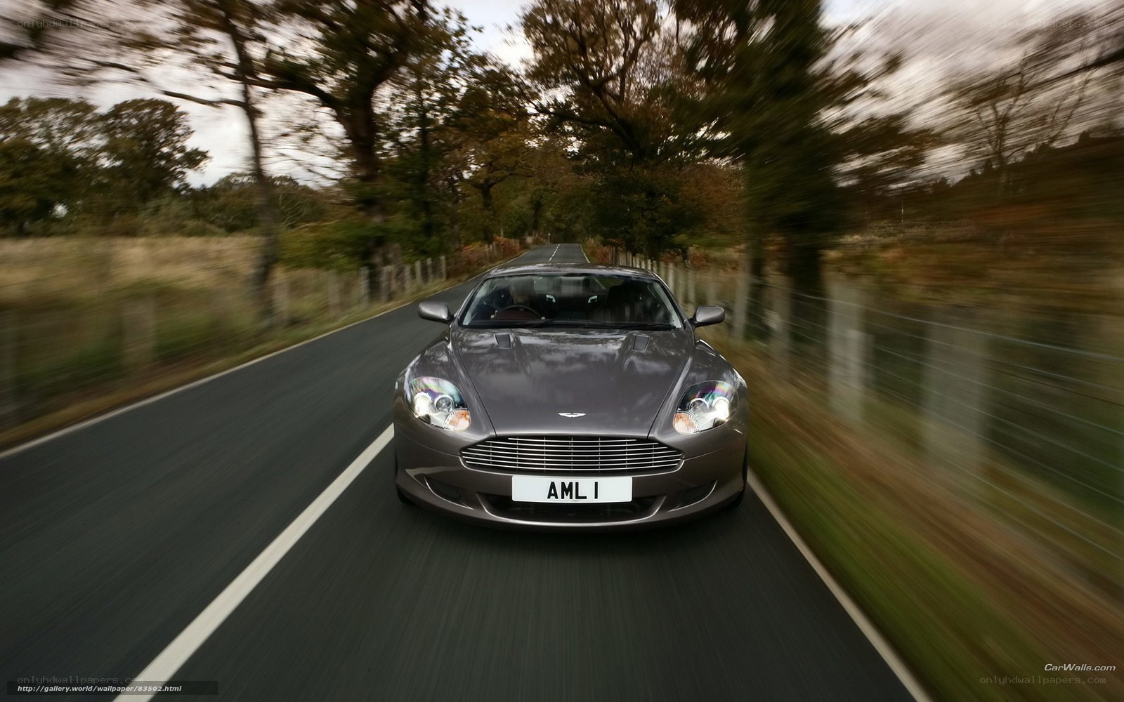 Aston Martin on country road