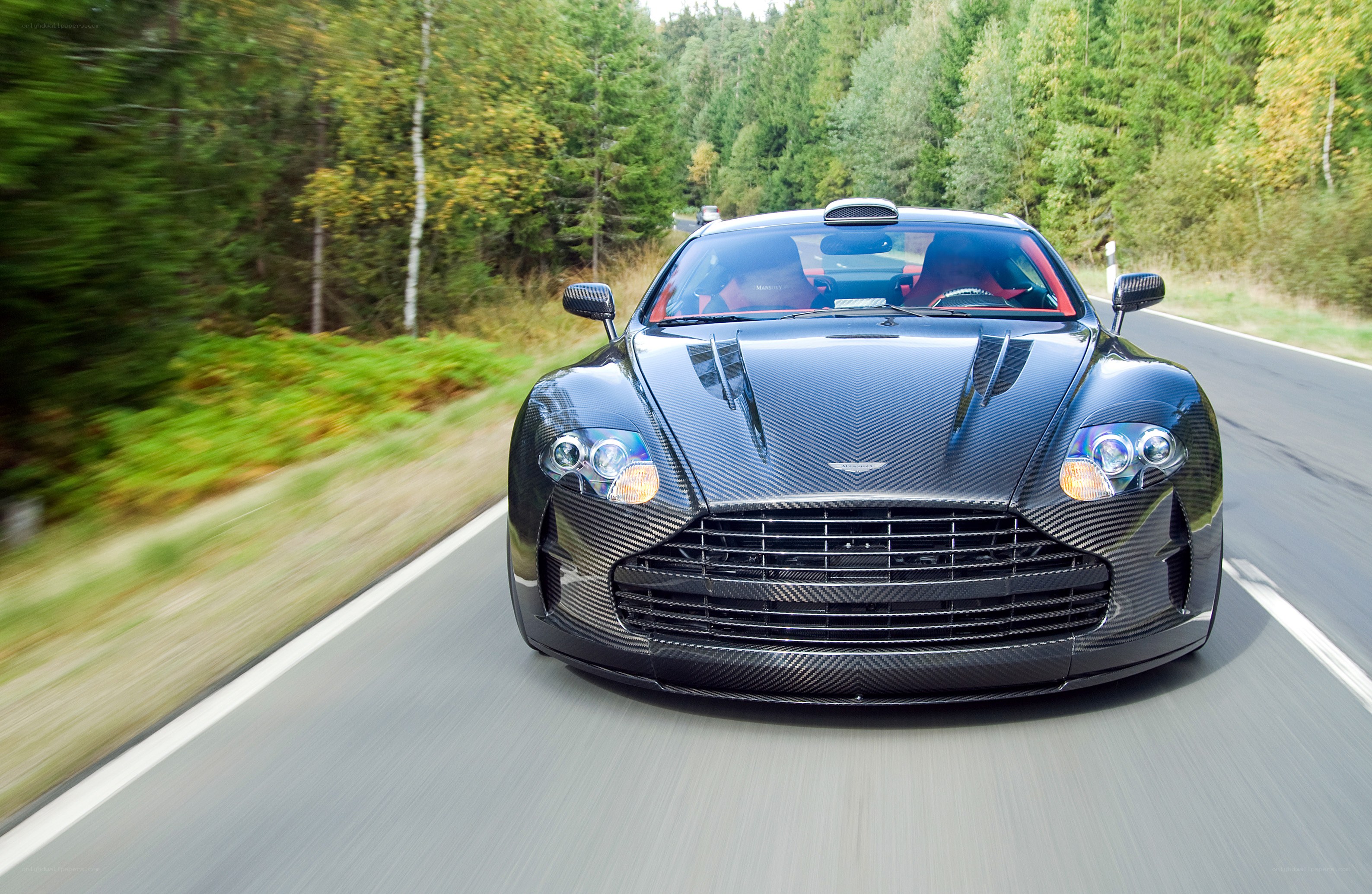 Aston Martin on forest road