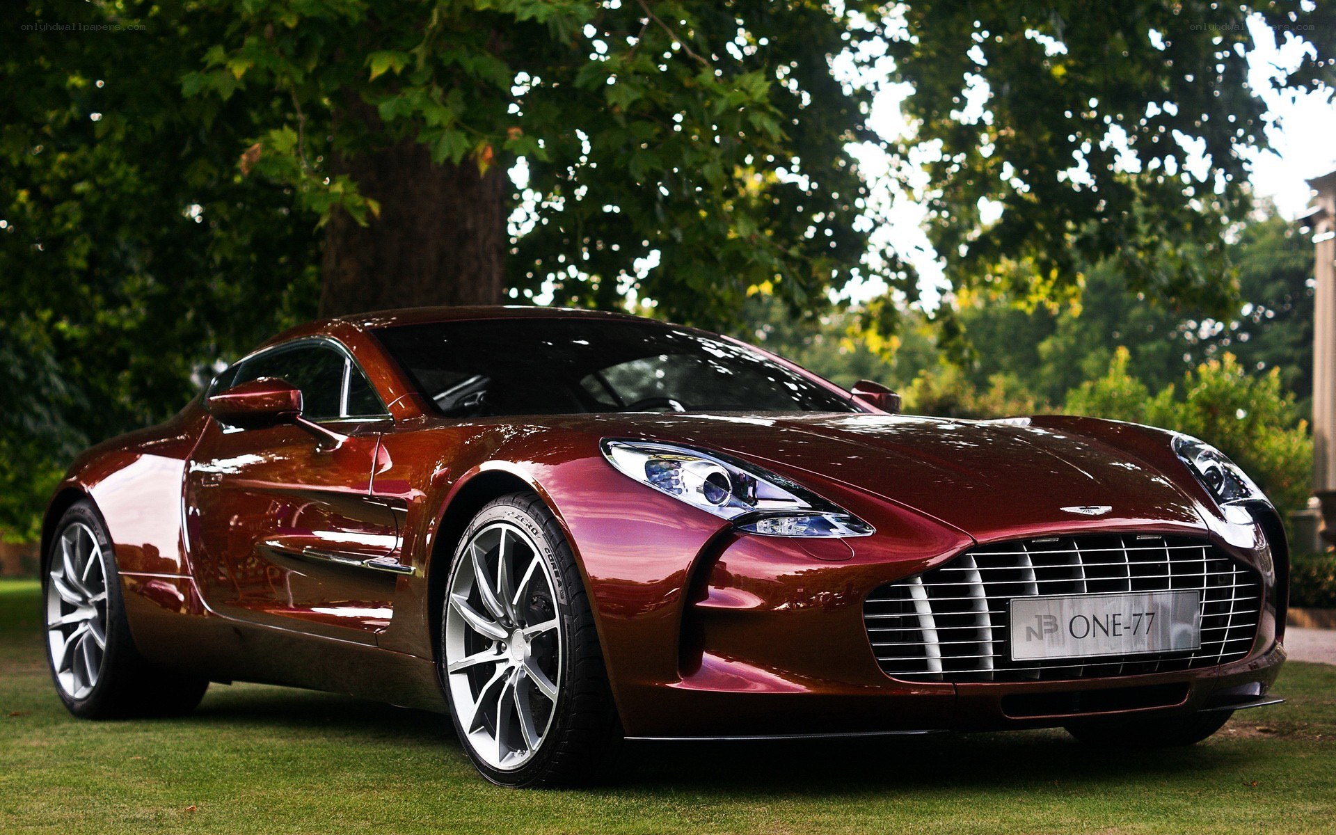Aston Martin One-77 on grass