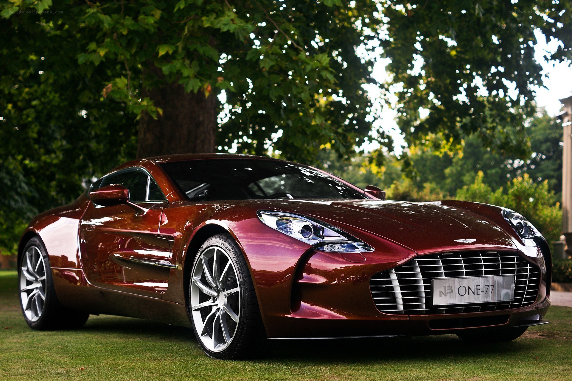 Aston Martin One-77 on grass