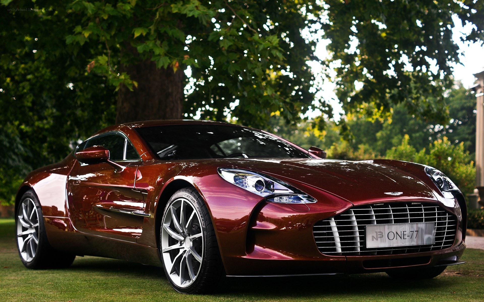 Aston Martin One-77 on grass