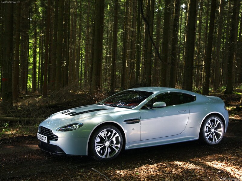Aston Martin V12 Vantage in forest