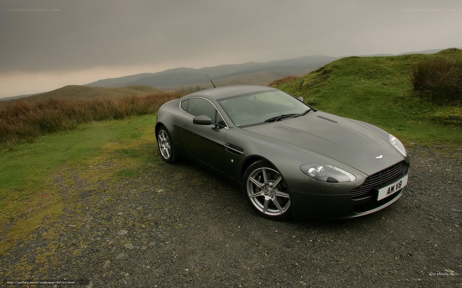 Aston Martin V8 on a hillside