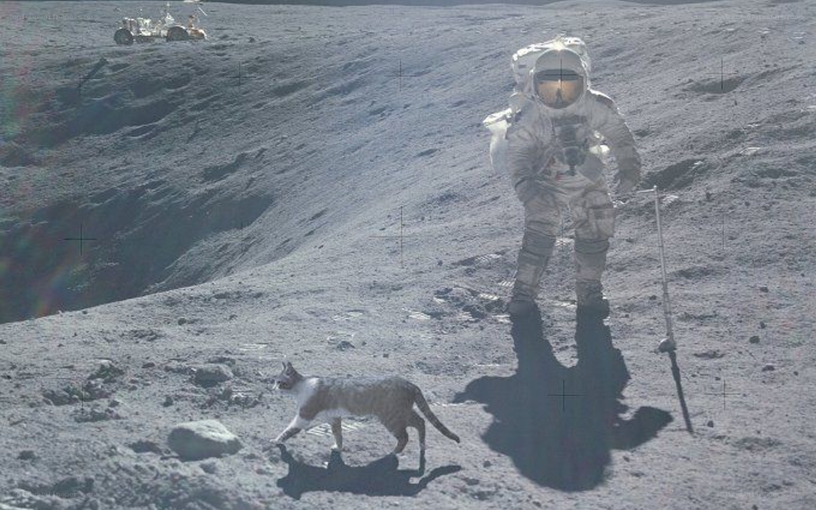 astronaut and cat on moon