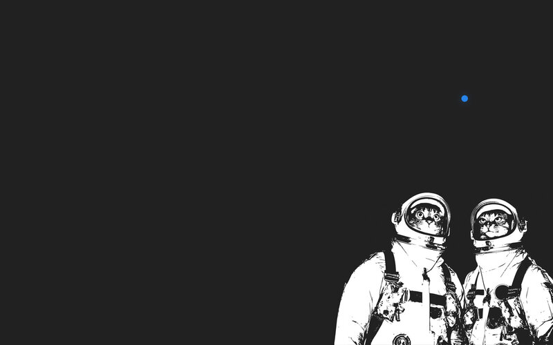 astronaut cats in space