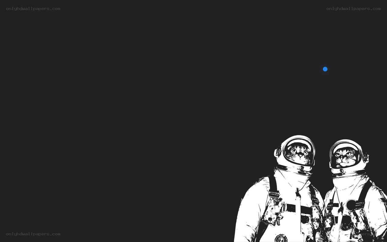 astronaut cats in space