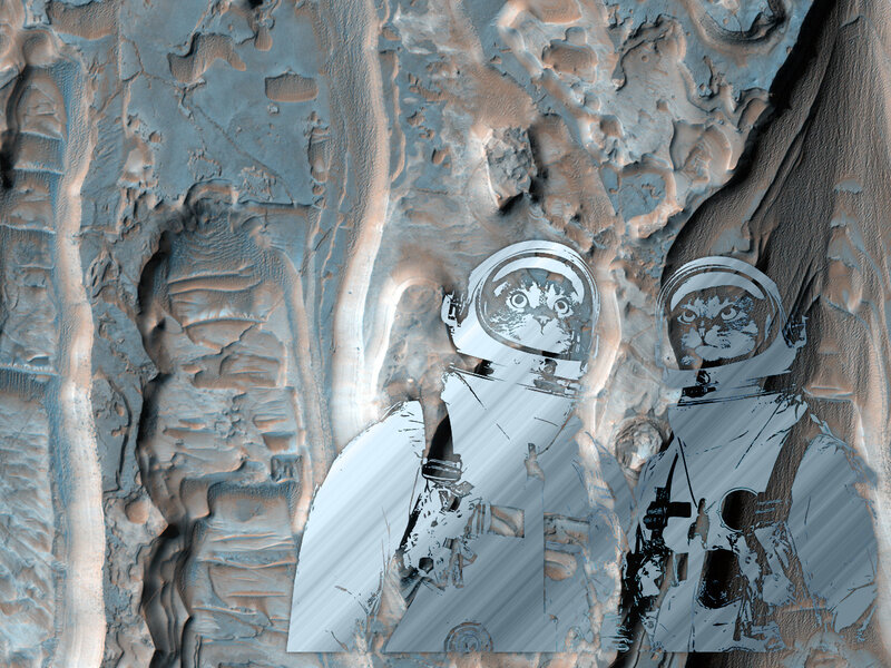 astronaut cats on mars