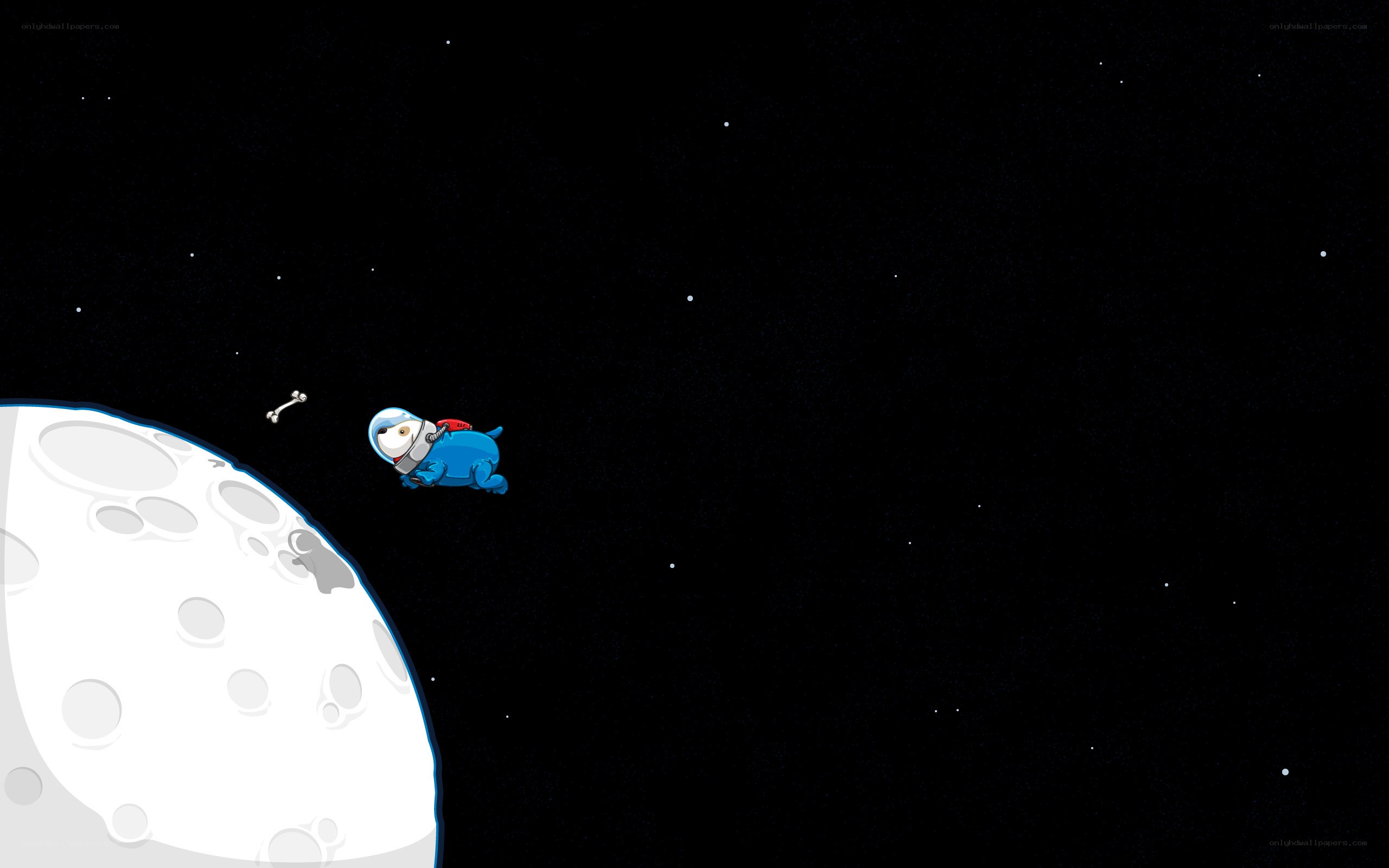astronaut dog in space