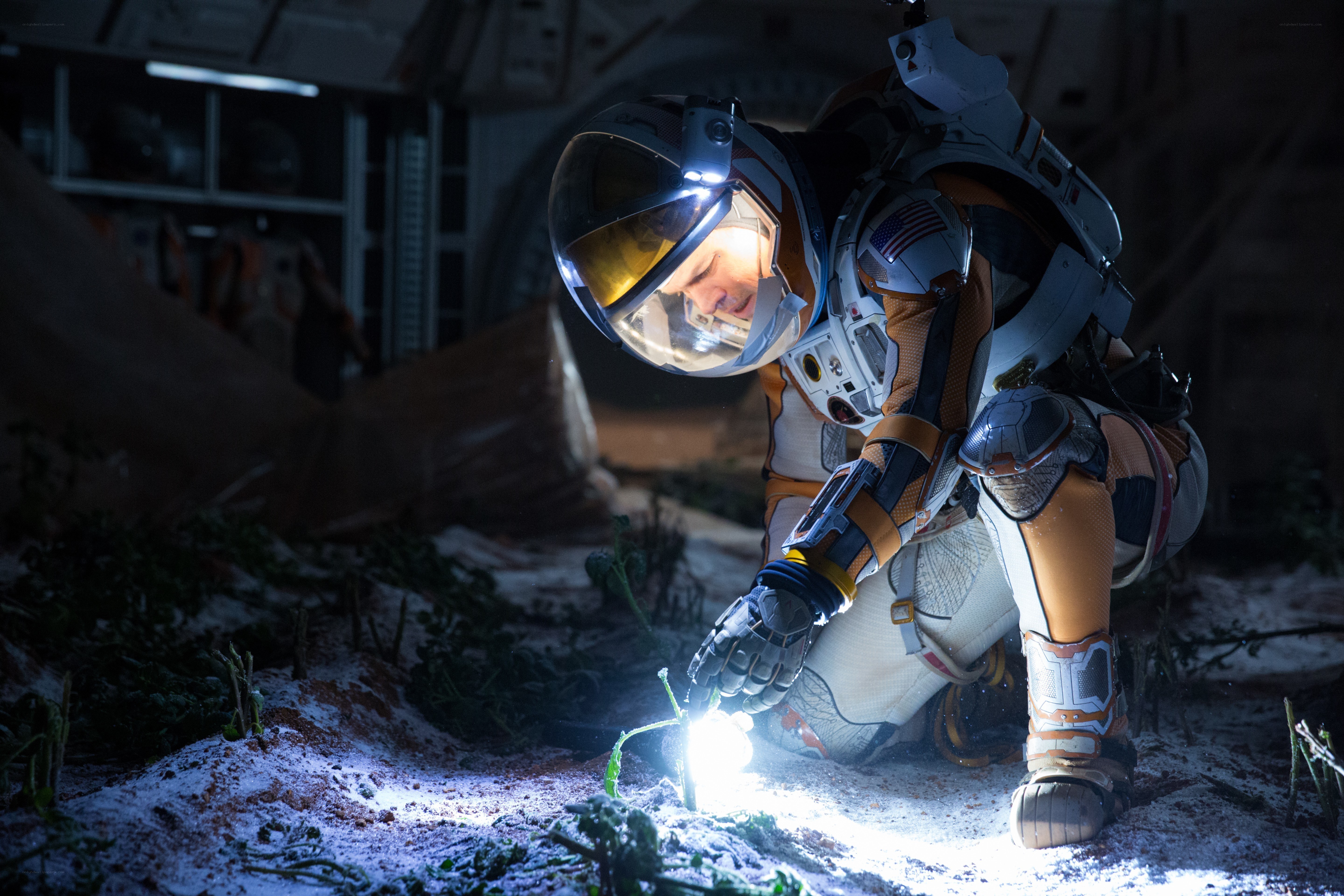 astronaut examining plant