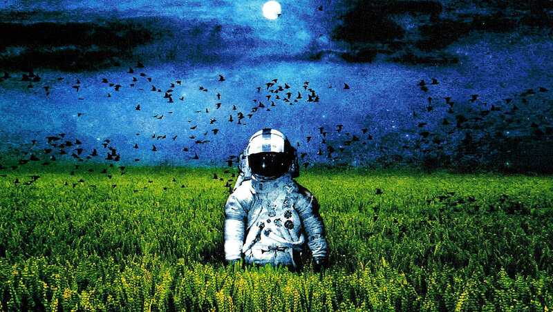 astronaut in a green field