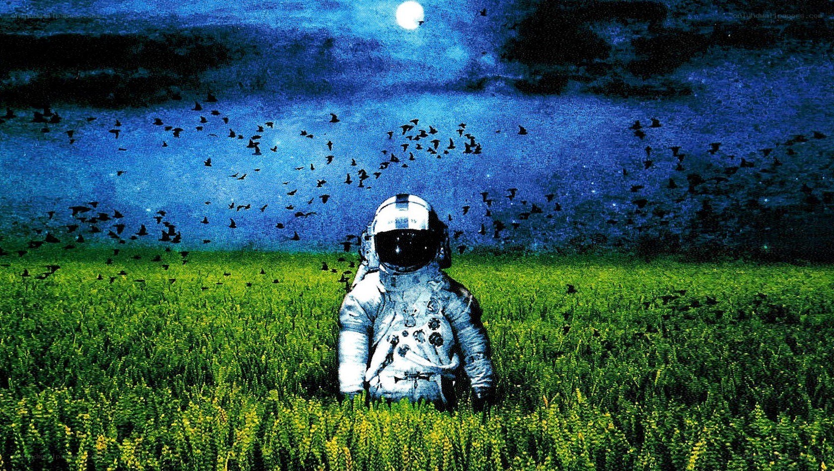 Astronaut in a green field