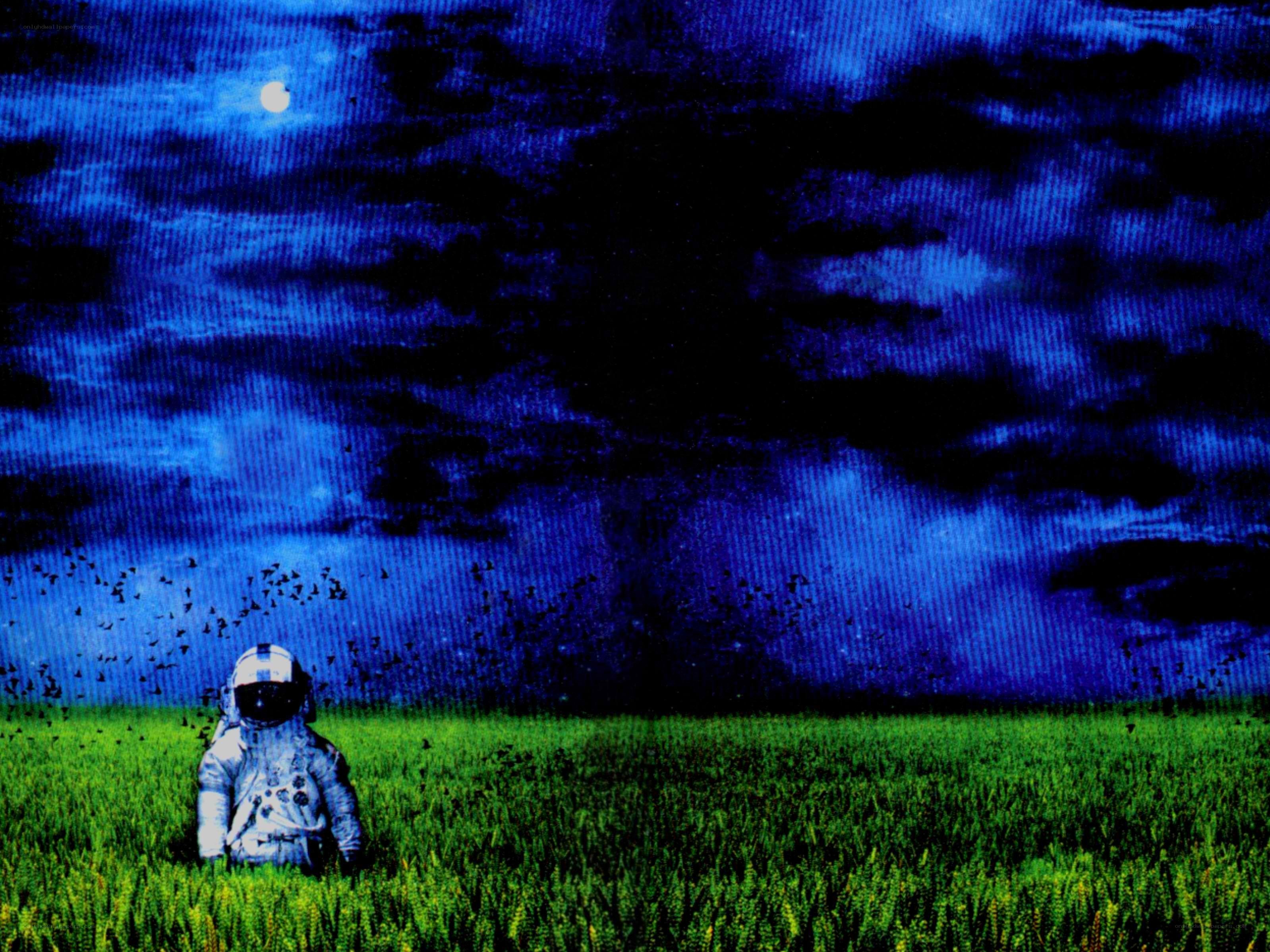 astronaut in a green field