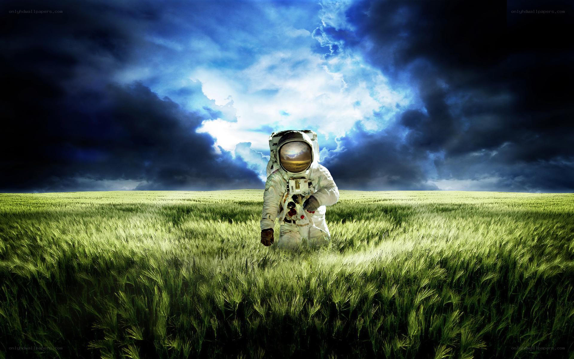 Astronaut in a wheat field