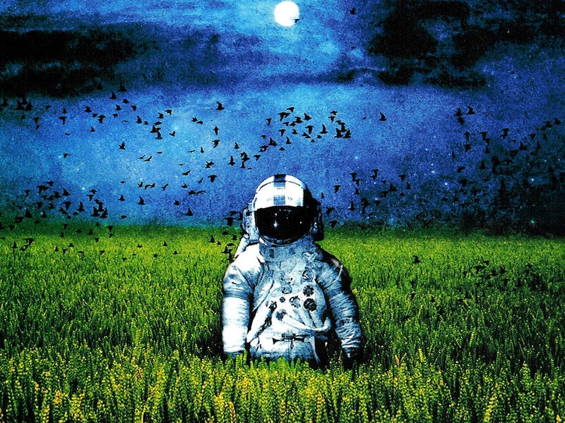 Astronaut in Field