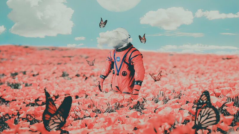 Astronaut in Flower Field — Pink