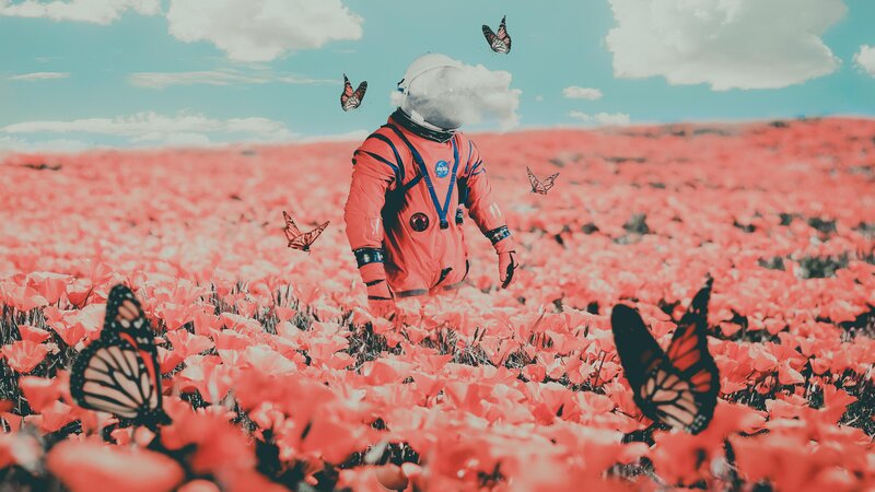 Astronaut in Flower Field — Red